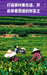 打造茶叶集合店，开启茶香四溢的财富之旅