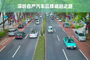 深圳自产汽车品牌崛起之路