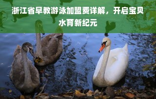 浙江省早教游泳加盟费详解，开启宝贝水育新纪元