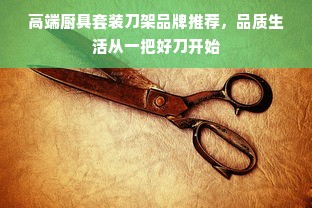 高端厨具套装刀架品牌推荐，品质生活从一把好刀开始