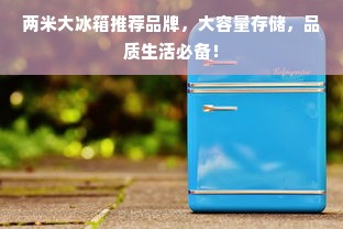 两米大冰箱推荐品牌，大容量存储，品质生活必备！