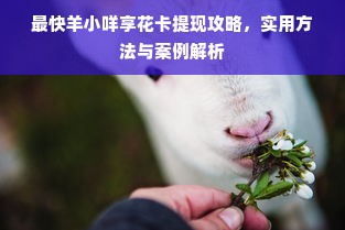 最快羊小咩享花卡提现攻略，实用方法与案例解析