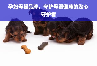 孕妇母婴品牌，守护母婴健康的贴心守护者