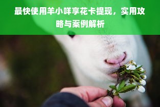 最快使用羊小咩享花卡提现，实用攻略与案例解析