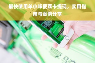 最快使用羊小咩便荔卡提现，实用指南与案例分享