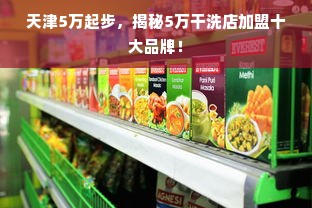 天津5万起步，揭秘5万干洗店加盟十大品牌！