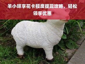 羊小咩享花卡额度提现攻略，轻松领享优惠
