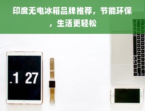 印度无电冰箱品牌推荐，节能环保，生活更轻松