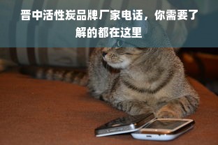 晋中活性炭品牌厂家电话，你需要了解的都在这里