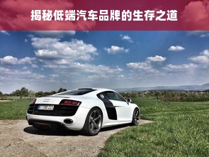 揭秘低端汽车品牌的生存之道