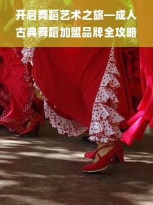 开启舞蹈艺术之旅—成人古典舞蹈加盟品牌全攻略