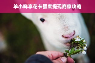 羊小咩享花卡额度提现商家攻略