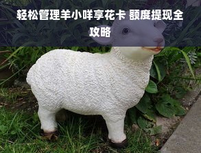 轻松管理羊小咩享花卡 额度提现全攻略