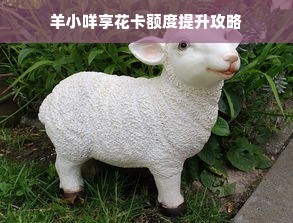羊小咩享花卡额度提升攻略
