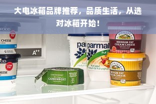 大电冰箱品牌推荐，品质生活，从选对冰箱开始！