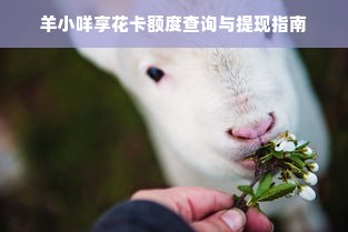 羊小咩享花卡额度查询与提现指南