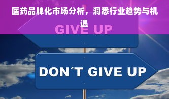 医药品牌化市场分析，洞悉行业趋势与机遇