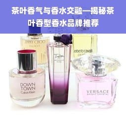 茶叶香气与香水交融—揭秘茶叶香型香水品牌推荐