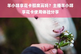 羊小咩享花卡额度高吗？主播羊小咩享花卡使用体验分享