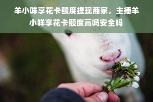 羊小咩享花卡额度提现商家，主播羊小咩享花卡额度高吗安全吗
