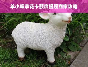 羊小咩享花卡额度提现商家攻略