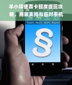 羊小咩便荔卡额度提现攻略，商家支持与应对手机额度不足问题