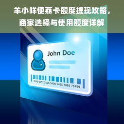羊小咩便荔卡额度提现攻略，商家选择与使用额度详解