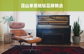 昆山家居地毯品牌精选