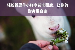 轻松管理羊小咩享花卡额度，让你的财务更自由
