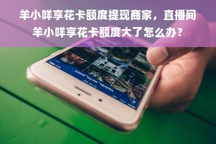 羊小咩享花卡额度提现商家，直播间羊小咩享花卡额度大了怎么办？