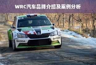 WRC汽车品牌介绍及案例分析