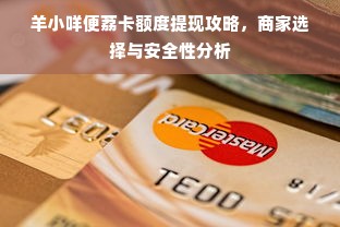 羊小咩便荔卡额度提现攻略，商家选择与安全性分析