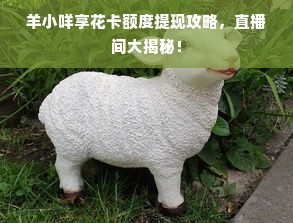 羊小咩享花卡额度提现攻略，直播间大揭秘！