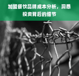 加盟餐饮品牌成本分析，洞悉投资背后的细节