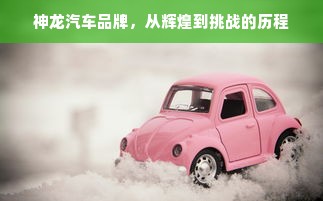 神龙汽车品牌，从辉煌到挑战的历程