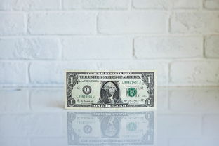 鹿优选额度提现商家全解析，助力你的商业梦想，支持鹿优选额度的软件都在这里