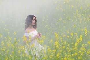 夏日里的轻盈风华—胖胖女生专属的薄款汉服推荐
