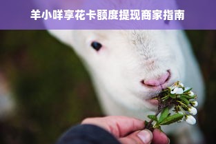 羊小咩享花卡额度提现商家指南