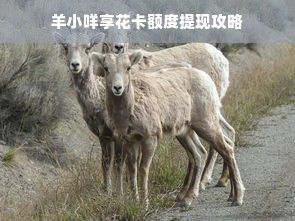 羊小咩享花卡额度提现攻略