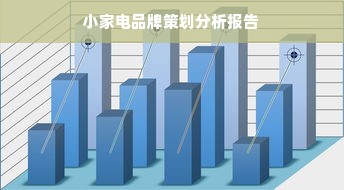 小家电品牌策划分析报告