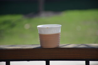 探索户外必备，精选陶瓷水杯品牌与实用指南
