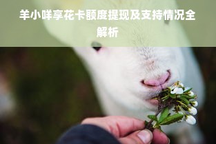 羊小咩享花卡额度提现及支持情况全解析