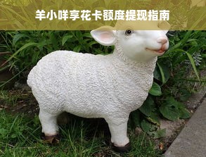 羊小咩享花卡额度提现指南