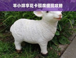 羊小咩享花卡额度提现攻略