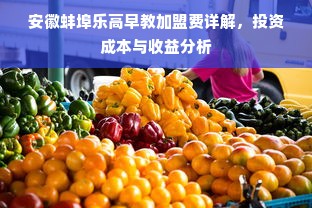 安徽蚌埠乐高早教加盟费详解，投资成本与收益分析