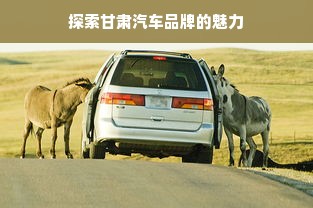 探索甘肃汽车品牌的魅力