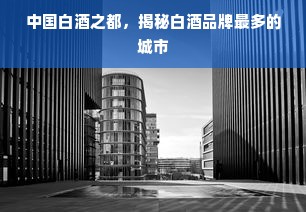 中国白酒之都，揭秘白酒品牌最多的城市