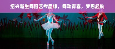 绍兴新生舞蹈艺考品牌，舞动青春，梦想起航