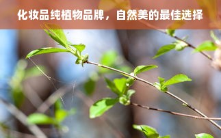 化妆品纯植物品牌，自然美的最佳选择