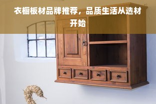 衣橱板材品牌推荐，品质生活从选材开始